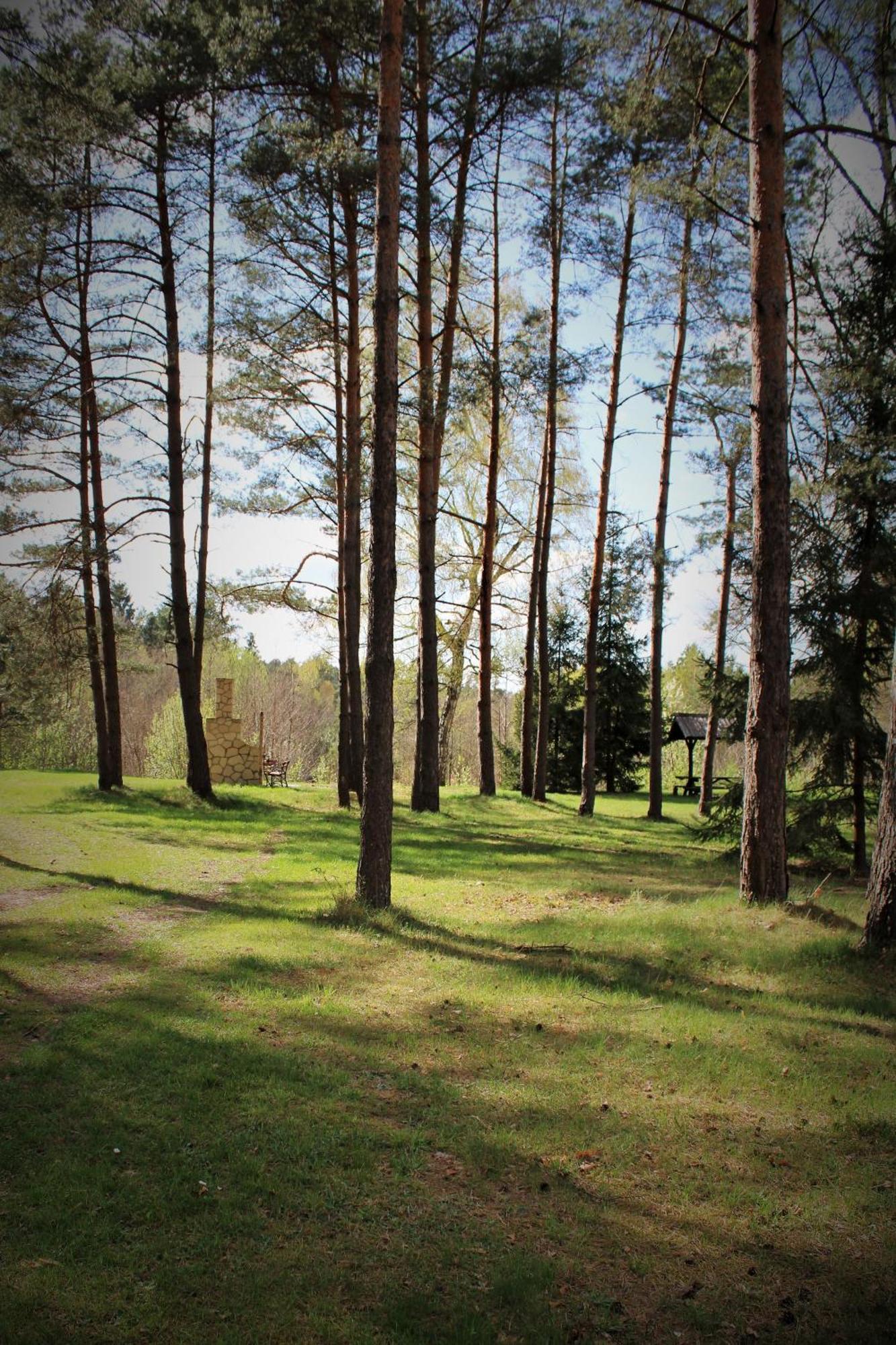 Ferienhaus Pizuny Dom Pod Debem Z Balia Na Wylacznosc